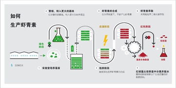 无糖凝胶糖果开发 无糖凝胶糖果 普正生物2019新品